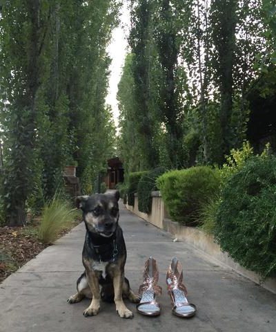 double_trouble_rose_gold_calistoga_ranch_and_baby_crop_large double_trouble_rose_gold_calistoga_ranch_and_baby_crop_large