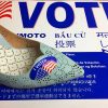First-Lady-Sky-Blue-Vote